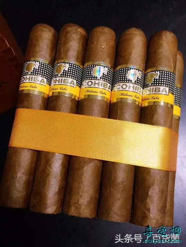 【雪茄知识】古巴雪茄每款品牌的主流味道详解-2
