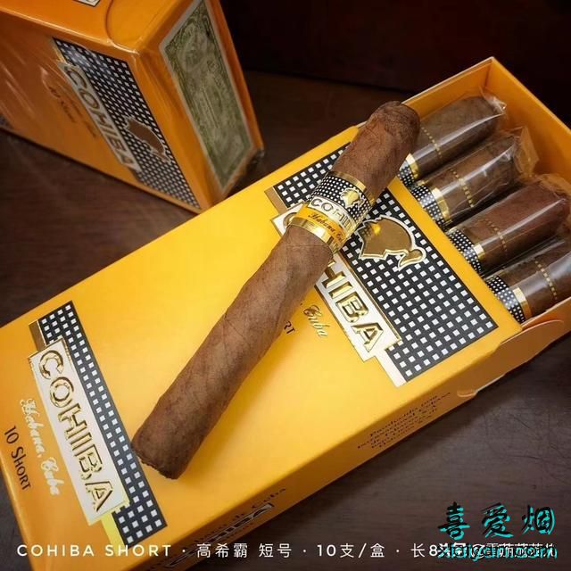 古巴雪茄品鉴赏析之高希霸短号-3