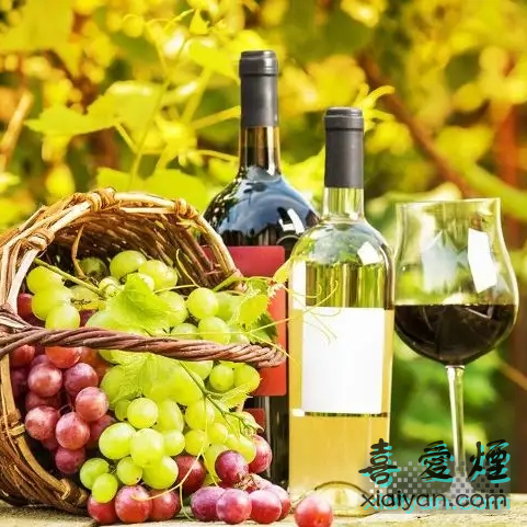 酿造葡萄酒的主要葡萄品种有哪些？它们各有什么特点？-1