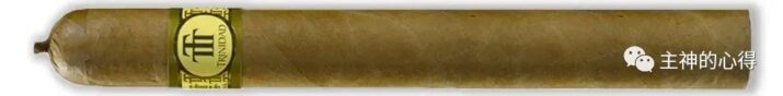 顶级雪茄品鉴---特立尼达.卡西尔达斯-2