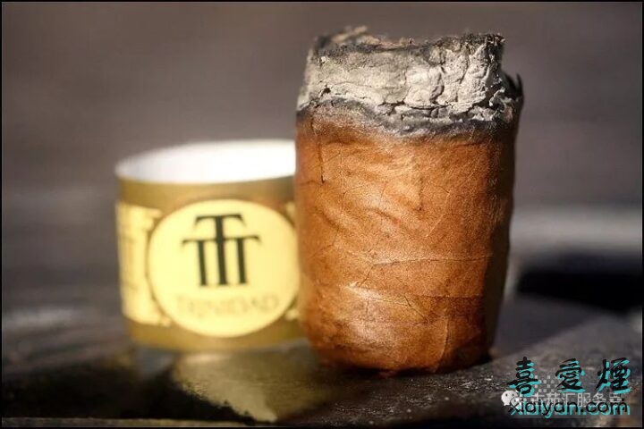 特立尼达罗布图T Trinidad Robusto T雪茄鉴赏-6