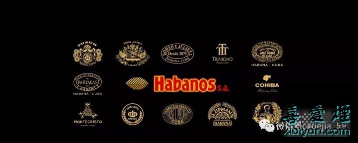 哈伯纳斯的27个雪茄品牌还是有分级的-1