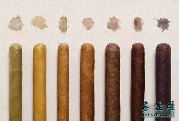 选雪茄别只看品牌了，雪茄的7种颜色你一定要懂！-2