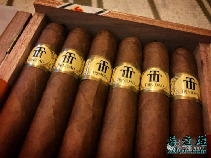 代表着细致巅峰的古巴雪茄-特立尼达-3