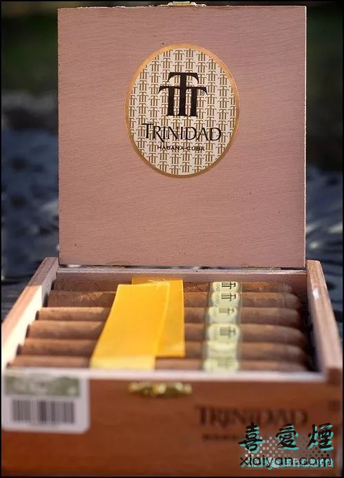 特立尼达罗布图T Trinidad Robusto T雪茄鉴赏-3