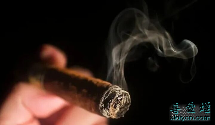 雪茄测评——特立尼达40周年-2